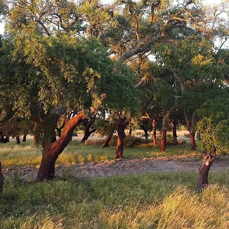 Semesterbostad Casas E Glamping Quinta Da Saudade *