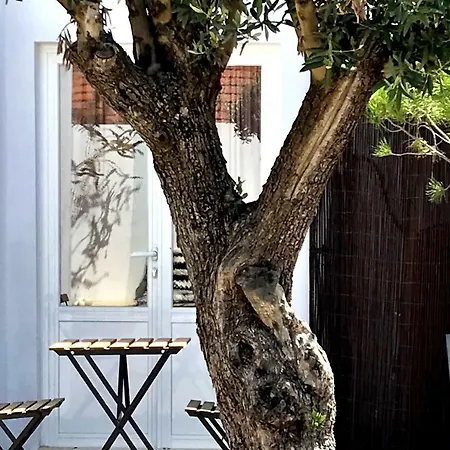 Casas E Glamping Quinta Da Saudade Casa de Férias