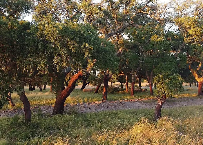 別荘 Casas E Glamping Quinta Da Saudade *