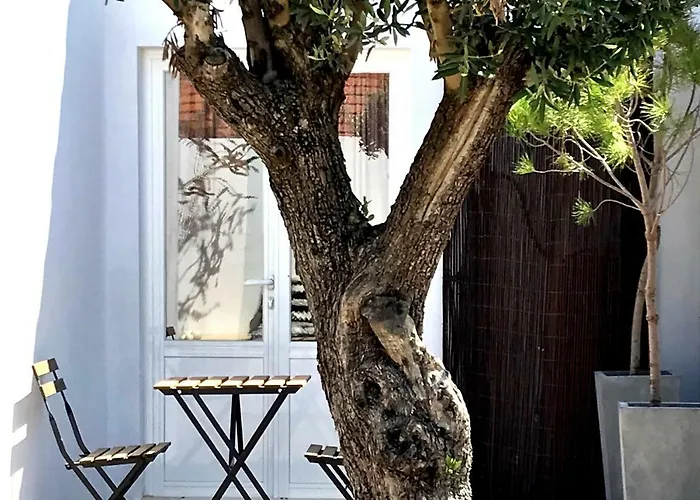 Casas E Glamping Quinta Da Saudade Semesterbostad